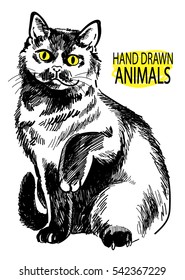 British cat. Cat sits having lifted a paw. Vector freehand drawing.