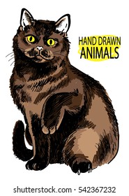 British cat. Cat sits having lifted a paw. Vector freehand drawing.