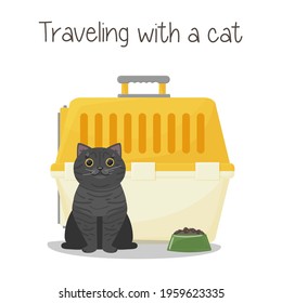 British cat is sitting next to the carrier. Plastic pet carrier cage. Traveling with pets, visiting a veterinarian. Vector illustration isolated on white background.