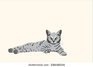 Britisch-Katze Tabi farbige Illustration. konzeptionelle Vektorkunst NFT