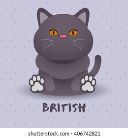 British Cat : Vector Illustration