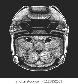 British cat Wild animal wearing hockey helmet. Print for t-shirt design.