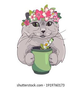British cat with a wreath of pink flowers and a cup of tea with daisies. Spring trendy poster. Print with a cute kitten. Vector illustration isolated on white background. Humorous card in sketch style