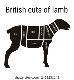 British cuts of lamb. Sheep meat cutting diagram. Schema for a butcher shop. Vector illustration isolated on a white background