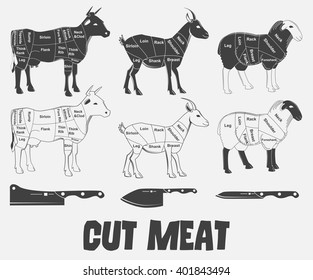 British Cuts Of Lamb, Veal, Beef, Goat Or Animal Diagram Meat. Vector Illustration