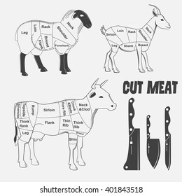 British cuts of lamb, veal, beef, goat or Animal diagram meat. Vector illustration