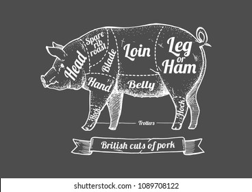 British cuts of pork. Vector hand drawn illustration in vintage engraved style. Isolated on dark gray background.