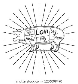British cuts of pork. Vector illustration.