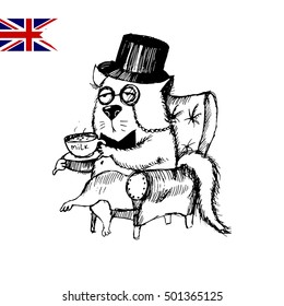 british funny cat.hand drawing sketch