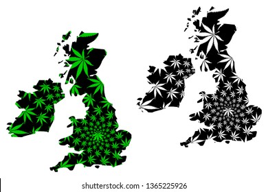 British Isles - map is designed cannabis leaf green and black,   United Kingdom of Great Britain and Northern Ireland map made of marijuana (marihuana,THC) foliage,