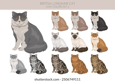 British longhair Cat clipart. All coat colors set.  All cat breeds characteristics infographic. Vector illustration