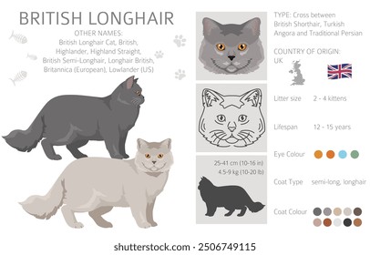 Britischer Langhaar-Katzenclipart. Alle Fellfarben eingestellt.  Alle Katze Rassen Merkmale Infografik. Vektorgrafik