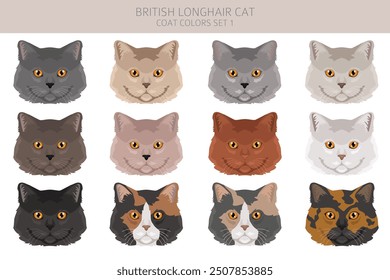 British longhair Cat clipart. All coat colors set.  All cat breeds characteristics infographic. Vector illustration