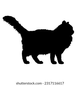 British Longhair cat silhouette cat breeds vector pet