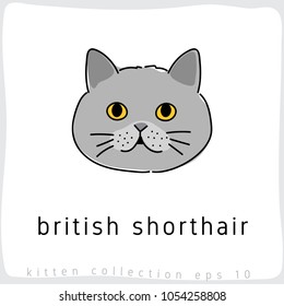 British Shorthair : Cat Breed Collection : Vector Illustration