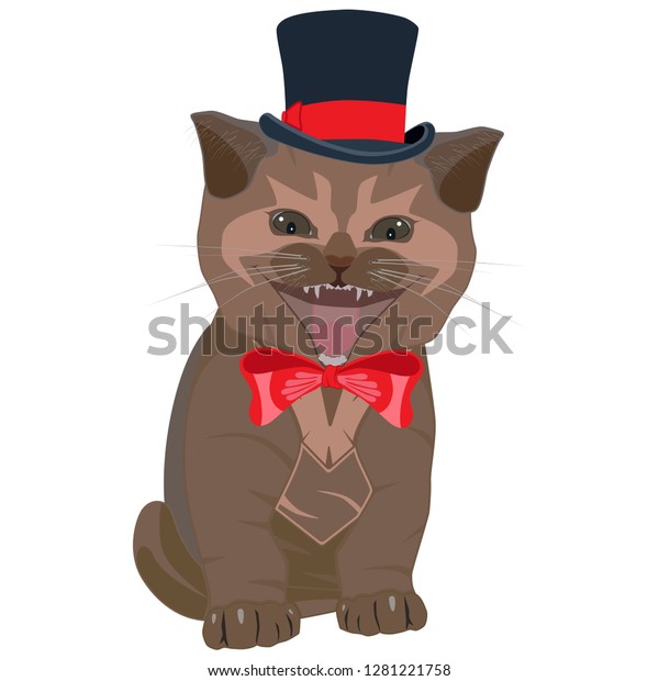 British Shorthair Cat Breed Vector Flat Stock Vector Royalty Free