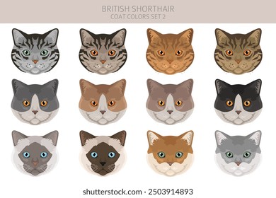 British shorthair Cat clipart. All coat colors set.  All cat breeds characteristics infographic. Vector illustration