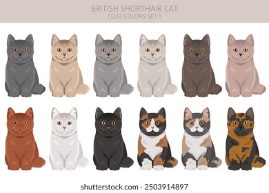 British shorthair Cat clipart. All coat colors set.  All cat breeds characteristics infographic. Vector illustration