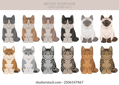 British shorthair Cat clipart. All coat colors set.  All cat breeds characteristics infographic. Vector illustration