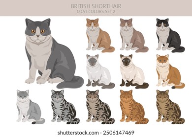 British shorthair Cat clipart. All coat colors set.  All cat breeds characteristics infographic. Vector illustration