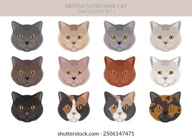 British shorthair Cat clipart. All coat colors set.  All cat breeds characteristics infographic. Vector illustration