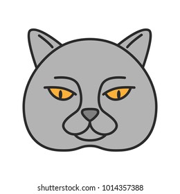 British shorthair cat color icon. British blue. Isolated vector illustration