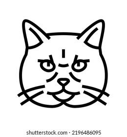 british shorthair cat cute pet line icon vector. british shorthair cat cute pet sign. isolated contour symbol black illustration