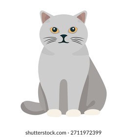 Gato británico de pelo corto. Ilustración de Clipart de Vector plano con fondo aislado.