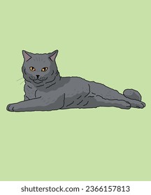 British Shorthair Cat Lying Down Side View