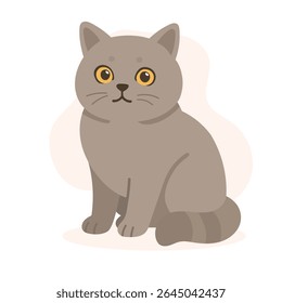 British shorthair cat with plush grey coat sits still and stares. This british shorthair cat visual balances quiet charm and dignified feline presence.