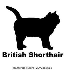 British Shorthair cat silhouette, vector, cat breeds, pet, animals cat.