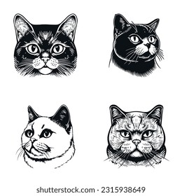 British Shorthair cat vector design isolated on white background