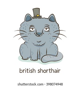 British shorthair. Cute vector cartoon cat character in a hat isolated on white