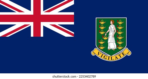 British Virgin Islands flag simple illustration for independence day or election