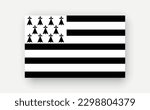 Brittany .Detailed flag on white background. Vector illustration
