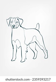 Brittany dog breed animal vector line art one line sketch outline