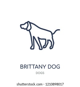 Brittany dog icon. Brittany dog linear symbol design from Dogs collection. Simple outline element vector illustration on white background.