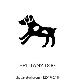 Brittany dog icon. Brittany dog symbol design from Dogs collection. Simple element vector illustration on white background.