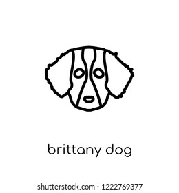 Brittany dog icon. Trendy modern flat linear vector Brittany dog icon on white background from thin line dogs collection, editable outline stroke vector illustration