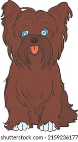 Brittany spaniel dog clipart illustration