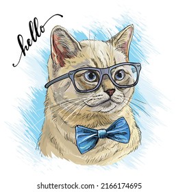 Brittish cat head in glasses. Hello lettering quote. Hand drawn style print. Vector illustration isolated on white background. T-shirt composition, print, design, stickers, sublimation, decor