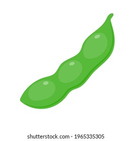 Broad beans.Vector illustration that is easy to edit.