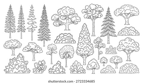 Un amplio conjunto de varios bocetos de árboles y arbustos ilustra la diversidad de la vida vegetal, desde pinos hasta árboles frondosos de hoja caduca en el arte lineal.