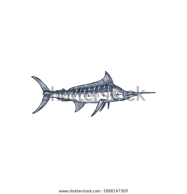 Broadbills fish sword like snout isolated\
swordfish monochrome icon. Vector long toms marlin, broadbill\
saltfish with long flattened snout. Predatory game fish with long,\
flat bill,\
Xiphiidae