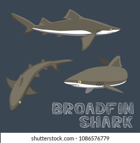 Broadfin Shark Cartoon Vector Illustration