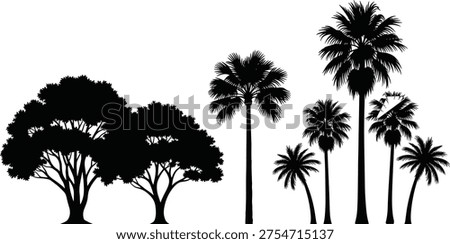 Broadleaf and palm tree silhouettes, diverse foliage vector illustration, botanical artwork design, landscape nature graphics, tropical forest shadow icons, decorative plant artwork