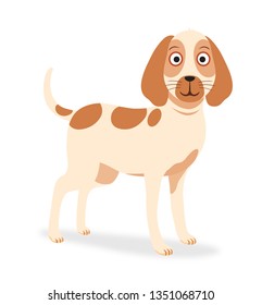 brocco italaino dog
