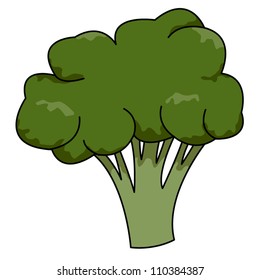 broccoli