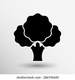 Broccoli abstract isolated on a white backgrounds.