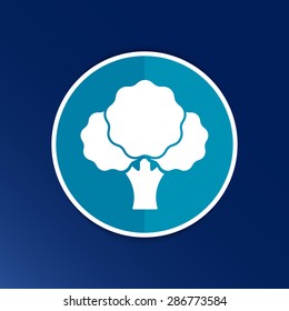 Broccoli abstract isolated on a white backgrounds.
